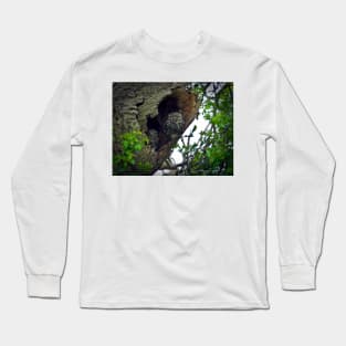 Little Owls on the nest Long Sleeve T-Shirt